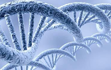 2023年生物科技趋势:合成生物占据“C位”